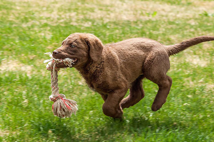 %_tempFileNameBlue-07%